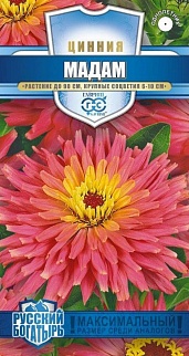 Цинния Мадам, 0,2 г. Русский богатырь.