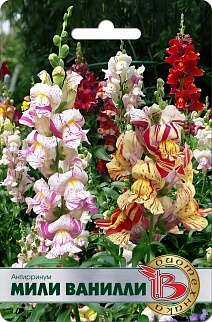 Антирринум Мили Ванилли F1, 0,02 г