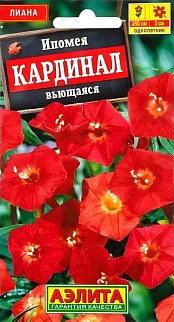 Ипомея Кардинал, 0,5 г