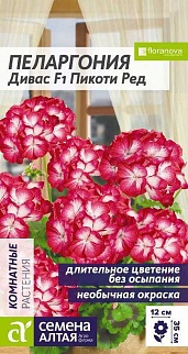Пеларгония Дивас Пикоти Ред зональная, 4 шт.