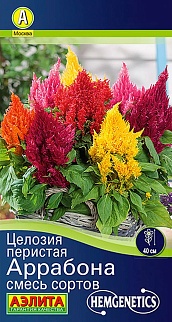 Целозия перистая Аррабона, смесь сортов, 7 шт.