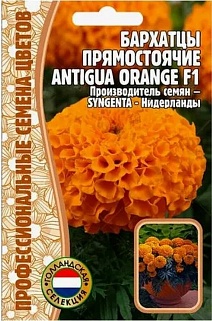 Бархатцы прямостоячие Antigua Orange F1, 5 шт.