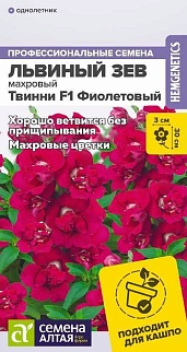 Львиный зев Твинни Фиолетовый Махровый, 10 шт.