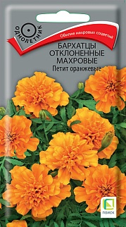 Бархатцы отклоненные махровые Петит Оранжевые, 0,4 г