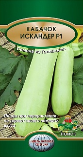 Кабачок Искандер F1, 5 шт. Поиск.