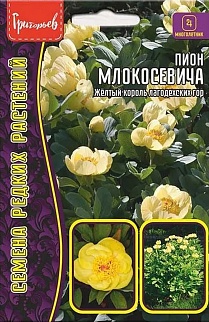 Пион Млокосевича (Paeonia mlokosewitschii), 3 шт.