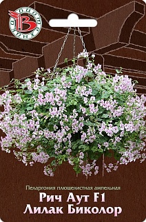 Пеларгония плющелистная ампельная Рич Аут F1 Лилак Биколор, 5 шт. Биотехника