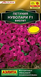 Петуния Нуволари F1 полуампельная виолет, 5 шт.