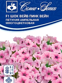 Петуния Шок Вейв Пинк вейн F1, ампельная, 4 шт.
