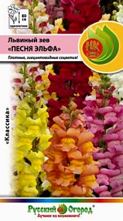 Львиный зев Песня Эльфа гиацинтоцветковый, смесь, 40 шт. Русский огород