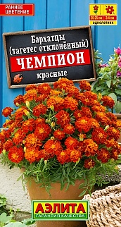 Бархатцы Чемпион красные, 0,2 г