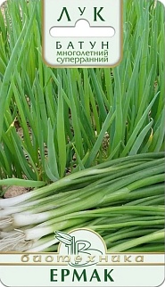 Лук-батун Ермак, 0,5 г Биотехника