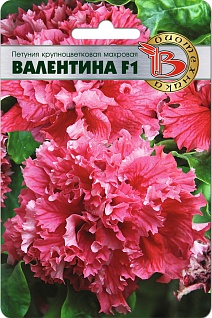Петуния крупноцветковая махровая Валентина F1, 10 шт. Биотехника