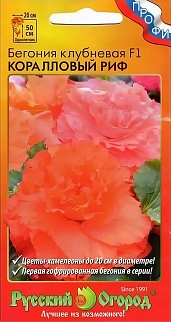 Бегония Коралловый риф F1, клубневая, 5 шт.
