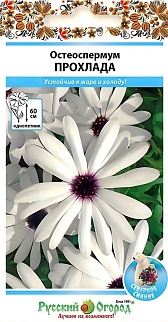 Остеоспермум Прохлада, 15 шт. Русский огород