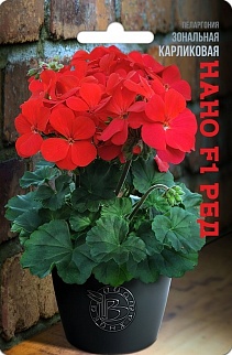 Пеларгония зональная карликовая Нано F1 Ред, 5 шт. Биотехника