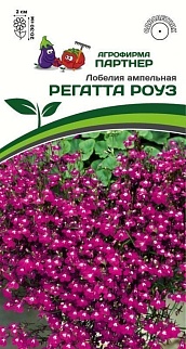 Лобелия ампельная Регатта Роуз, 10 шт. 