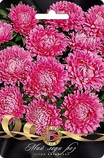 Астра китайская Май Леди Роз, 30 шт. Биотехника
