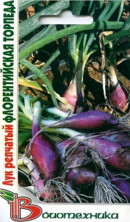 Лук репчатый Флорентийская Торпеда, 0,3 г Биотехника