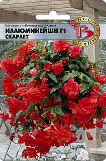 Бегония клубневая ампельная Иллюминейшн F1 Скарлет, 8 шт. Биотехника