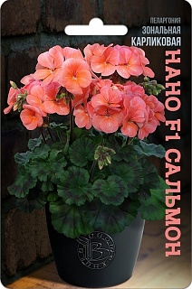 Пеларгония зональная карликовая Нано F1 Сальмон, 5 шт. Биотехника