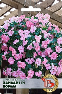 Импатиенс ампельный Хайлайт F1 Коралл, 8 шт. Биотехника