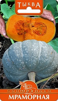 Тыква Мраморная, 4 шт. Биотехника
