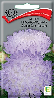 Астра пионовидная Дюшес блю энд вайт 0,3 г
