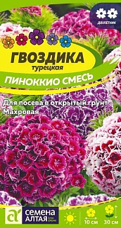 Гвоздика турецкая Пиноккио 0,1 г двулетник
