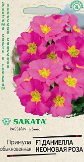 Примула Даниелла неоновая роза F1, бесстебельная, 5 шт. Саката