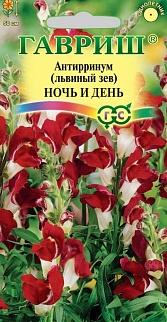 Львиный зев Ночь и день, 0,1 г