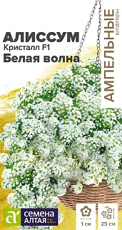 Алиссум Кристалл Белая Волна F1, 0,01 г. Ампельные шедевры.