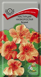 Настурция низкорослая Везувий, 1 г