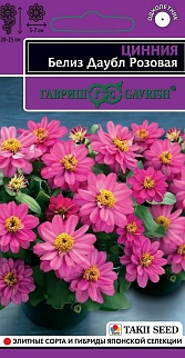 Цинния Белиз Даубл розовая, 5 шт. Эксклюзив 