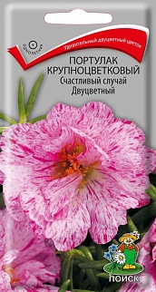 Портулак крупноцветковый Счастливый случай Двуцветный, 20 шт.