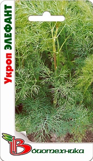Укроп Элефант, 1 г. Биотехника. 