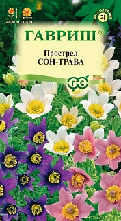 Прострел Сон-трава, смесь, 0,05 г