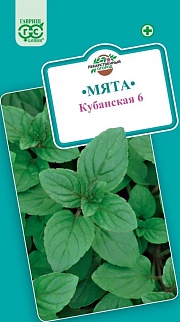 Мята перечная Кубанская 6, 0,05 г. Лекарственная.