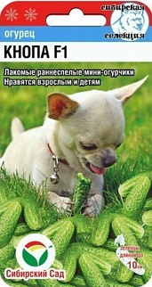 Огурец Кнопа F1, 7 шт. Сибирский сад