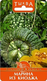 Тыква Марина из Киоджа, 5 шт. Биотехника