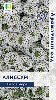 Алиссум Белое море, 0,3 г