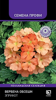 Вербена Обсешн Эприкот, 10 шт. Семена Профи