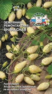 Земляника Ананасная, ремонтантная, 0,04 г