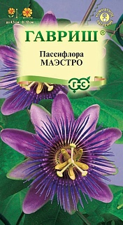 Пассифлора съедобная Маэстро, 5 шт.