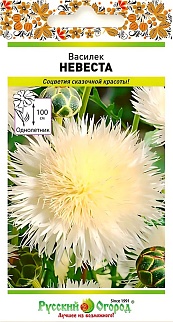 Василек мускусный Невеста, 0,3 г Русский огород