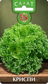 Салат Криспи, 20 шт. Биотехника