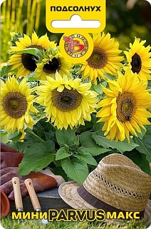 Подсолнух компактный Мини-Макс Парвус, 10 шт. Биотехника