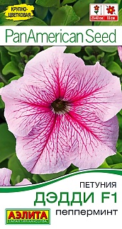 Петуния Дэдди F1 пепперминт, 7 шт.