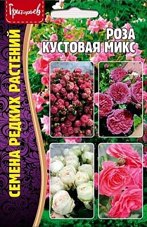 Роза кустовая Микс, 10 шт.