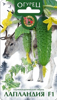 Огурец Лапландия F1, 8 шт. Биотехника